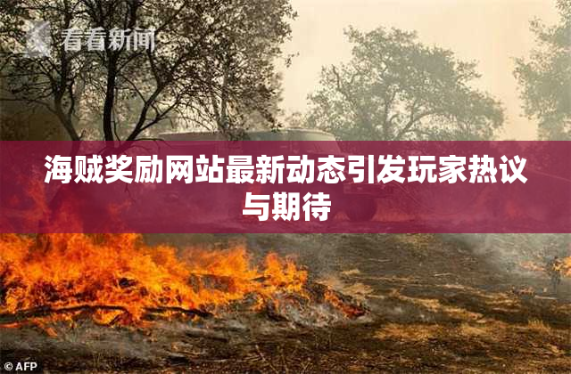 海贼奖励网站最新动态引发玩家热议与期待