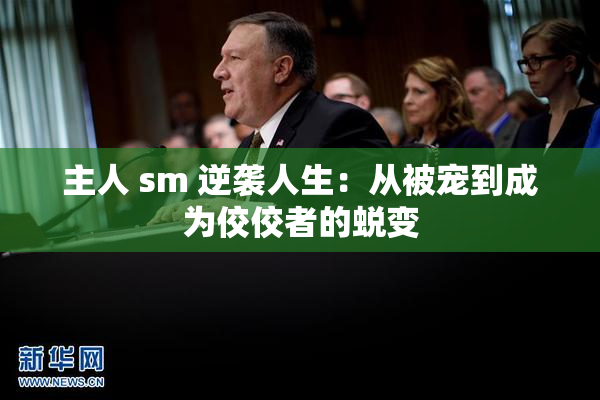 主人 sm 逆袭人生：从被宠到成为佼佼者的蜕变