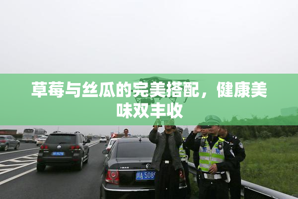草莓与丝瓜的完美搭配，健康美味双丰收