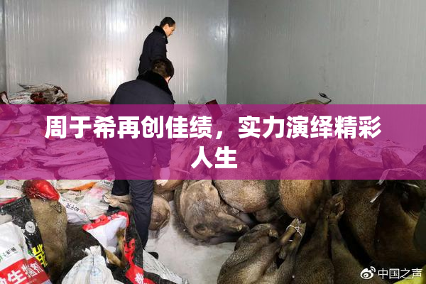 周于希再创佳绩，实力演绎精彩人生