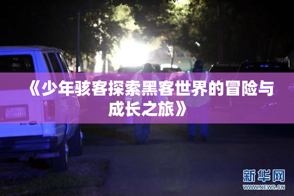 《少年骇客探索黑客世界的冒险与成长之旅》