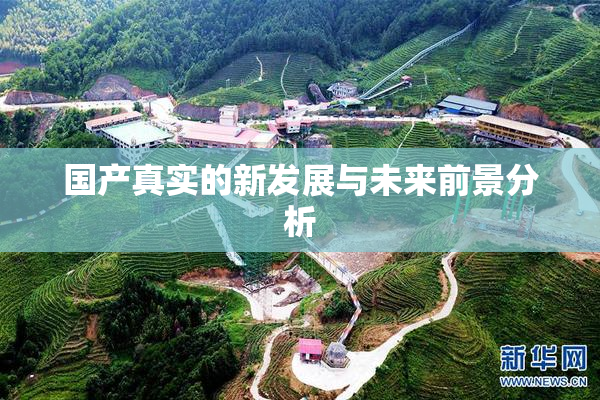国产真实的新发展与未来前景分析
