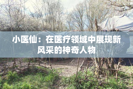 小医仙：在医疗领域中展现新风采的神奇人物