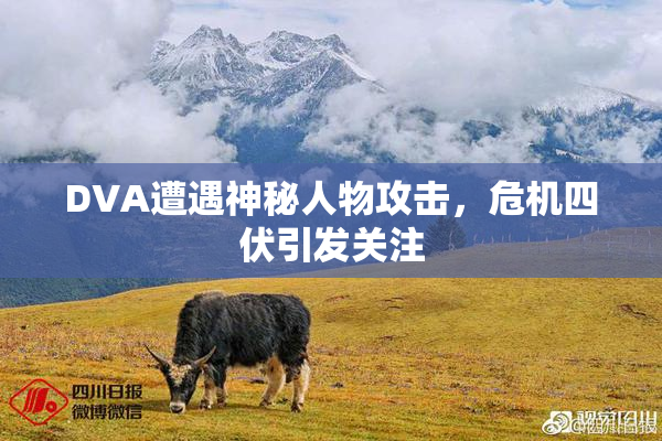 DVA遭遇神秘人物攻击，危机四伏引发关注