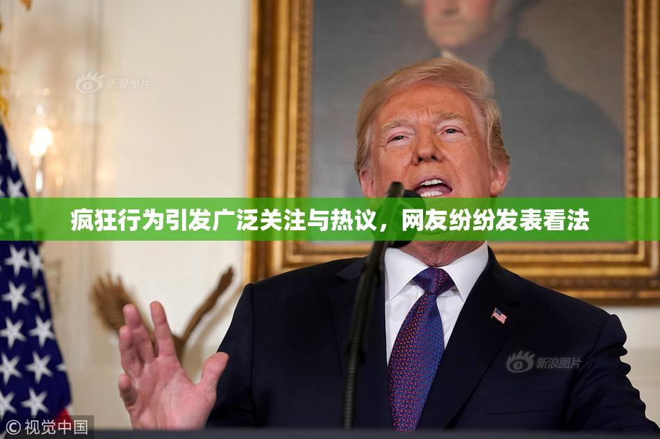 疯狂行为引发广泛关注与热议，网友纷纷发表看法