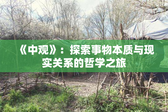 《中观》：探索事物本质与现实关系的哲学之旅