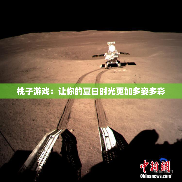 桃子游戏：让你的夏日时光更加多姿多彩