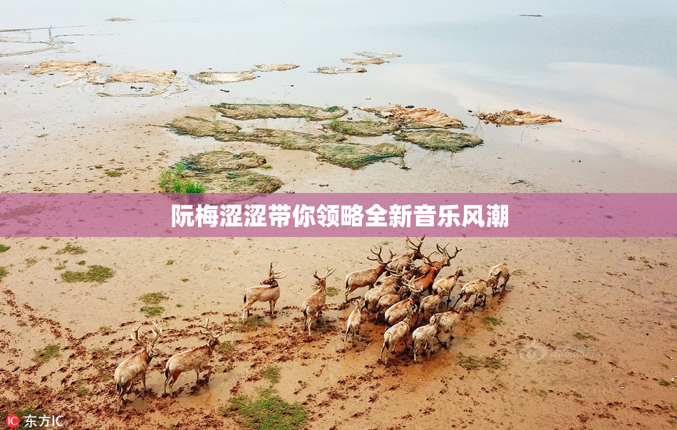 阮梅涩涩带你领略全新音乐风潮