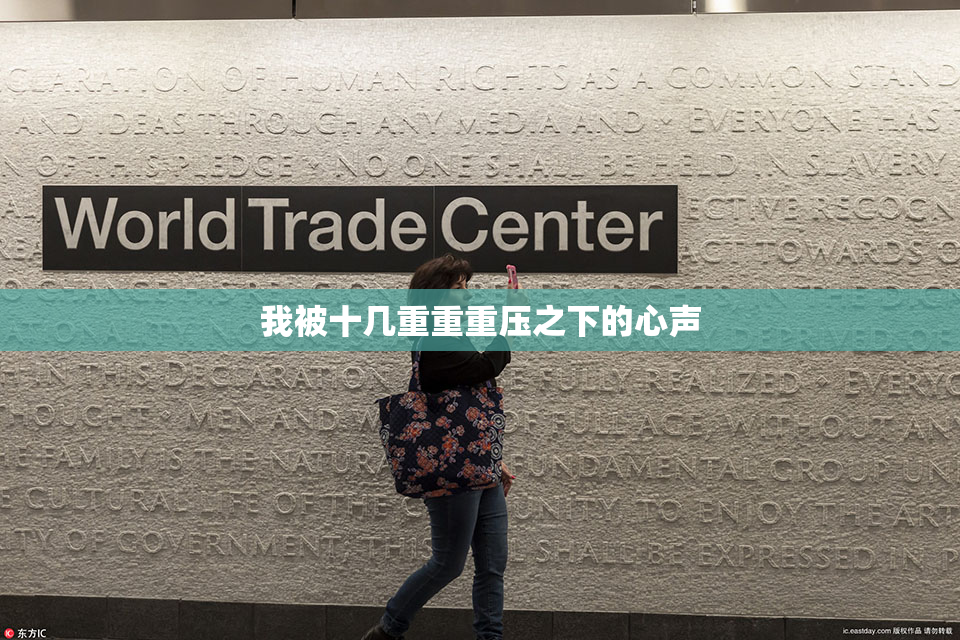 我被十几重重重压之下的心声
