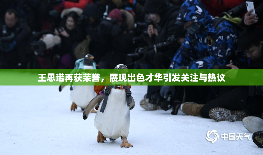 王思诺再获荣誉，展现出色才华引发关注与热议