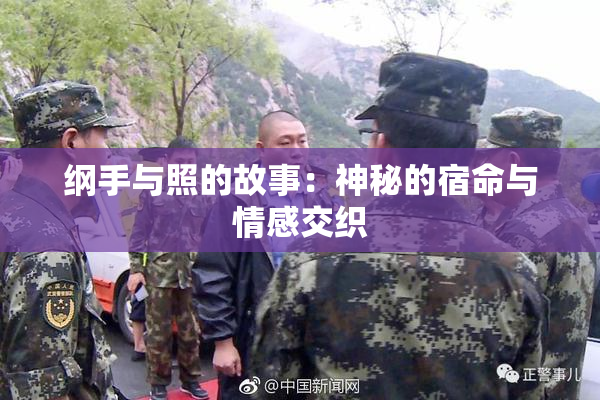 纲手与照的故事：神秘的宿命与情感交织