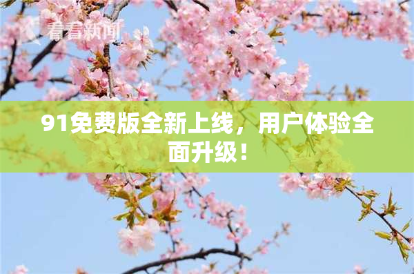 91免费版全新上线，用户体验全面升级！