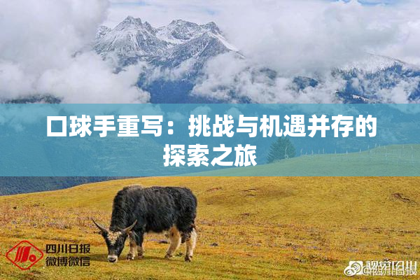 口球手重写：挑战与机遇并存的探索之旅