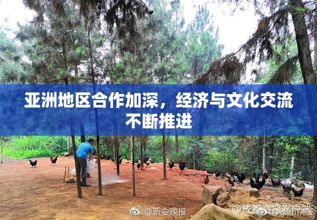 亚洲地区合作加深，经济与文化交流不断推进