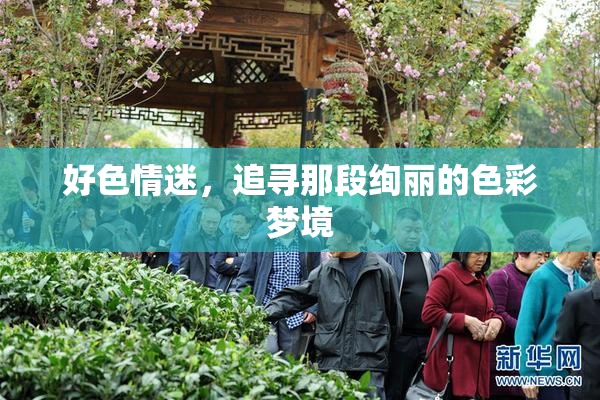 好色情迷，追寻那段绚丽的色彩梦境