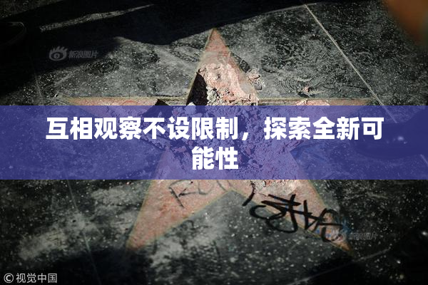 互相观察不设限制，探索全新可能性