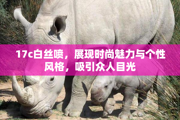 17c白丝喷，展现时尚魅力与个性风格，吸引众人目光