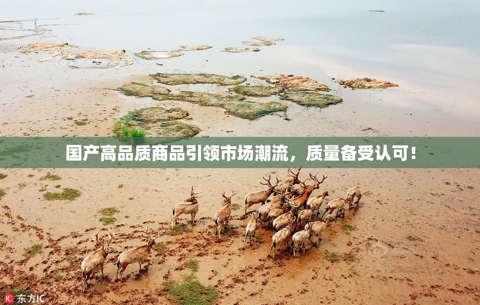 国产高品质商品引领市场潮流，质量备受认可！