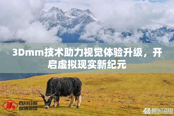 3Dmm技术助力视觉体验升级，开启虚拟现实新纪元