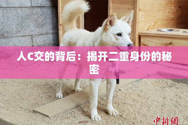 人C交的背后：揭开二重身份的秘密