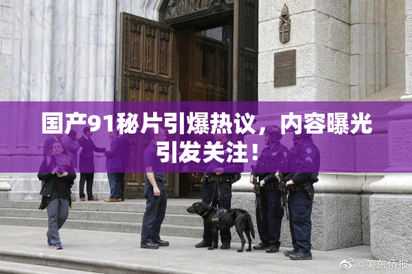 国产91秘片引爆热议，内容曝光引发关注！