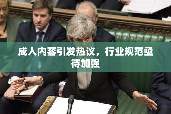 成人内容引发热议，行业规范亟待加强