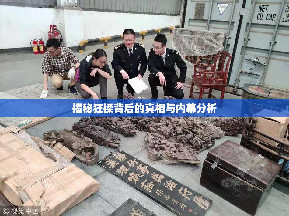 揭秘狂揉背后的真相与内幕分析