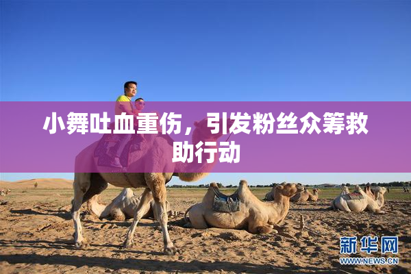 小舞吐血重伤，引发粉丝众筹救助行动