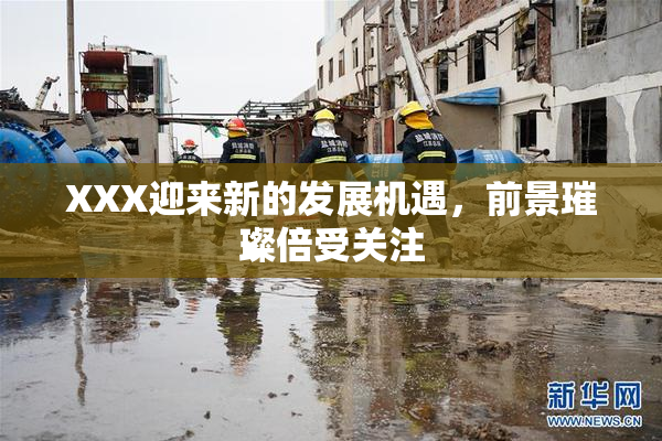 XXX迎来新的发展机遇，前景璀璨倍受关注