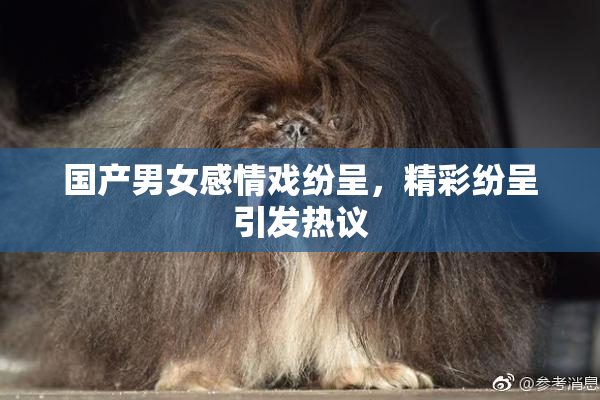 国产男女感情戏纷呈，精彩纷呈引发热议