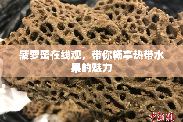 菠萝蜜在线观，带你畅享热带水果的魅力