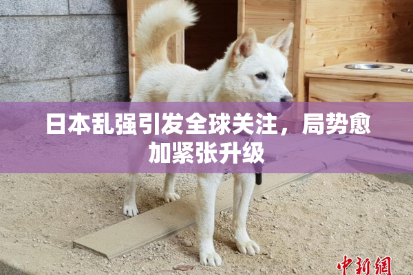 日本乱强引发全球关注，局势愈加紧张升级