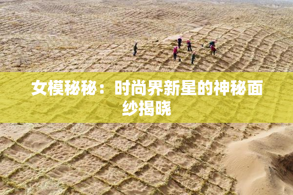 女模秘秘：时尚界新星的神秘面纱揭晓
