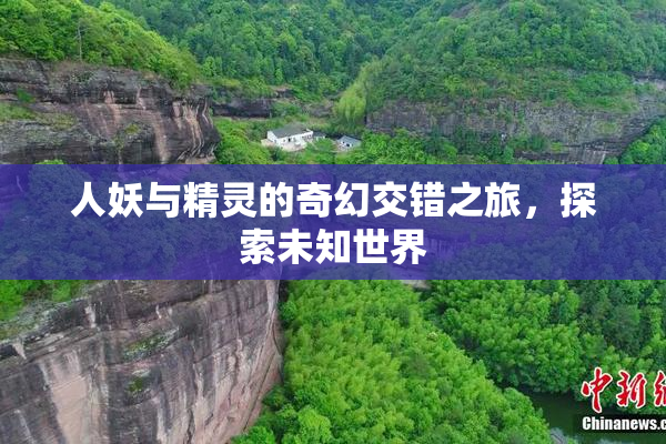 人妖与精灵的奇幻交错之旅，探索未知世界