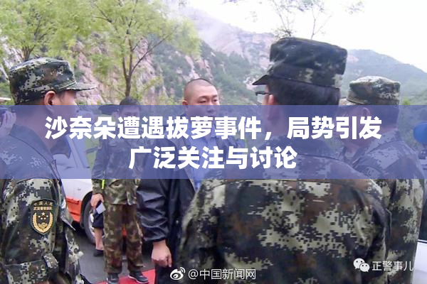 沙奈朵遭遇拔萝事件，局势引发广泛关注与讨论