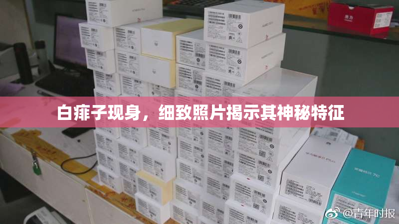 白痱子现身，细致照片揭示其神秘特征
