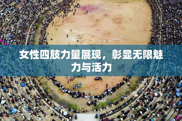 女性四肢力量展现，彰显无限魅力与活力