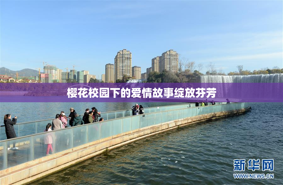 樱花校园下的爱情故事绽放芬芳