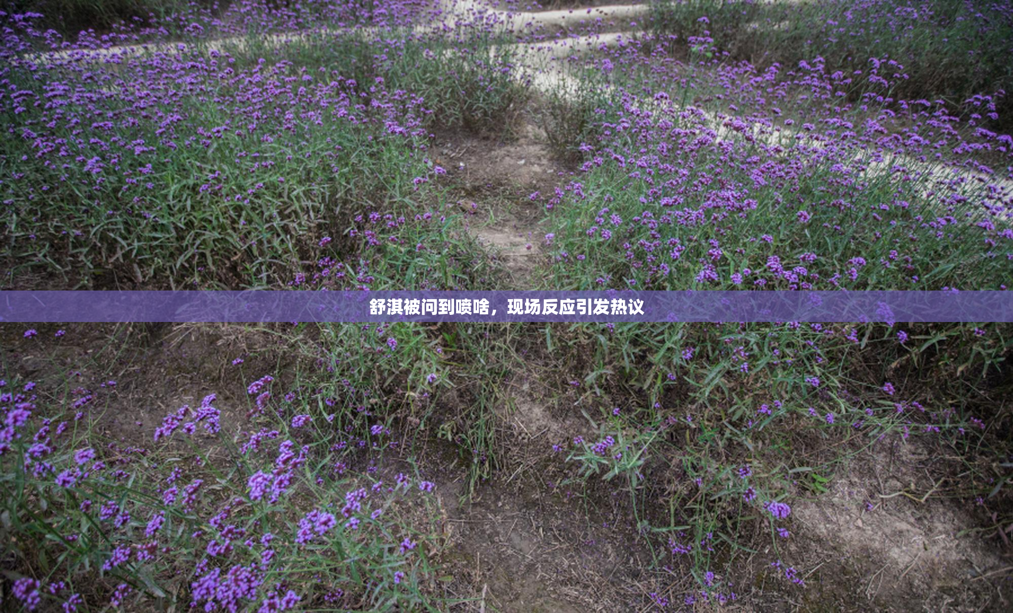 舒淇被问到喷啥，现场反应引发热议