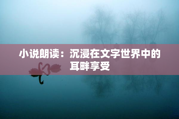 小说朗读：沉浸在文字世界中的耳畔享受