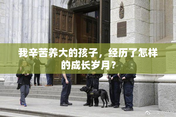 我辛苦养大的孩子，经历了怎样的成长岁月？