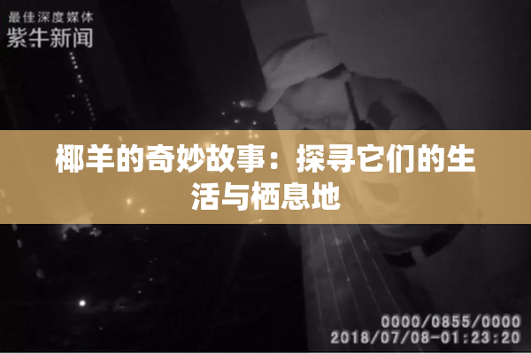 椰羊的奇妙故事：探寻它们的生活与栖息地