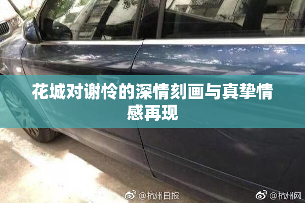 花城对谢怜的深情刻画与真挚情感再现