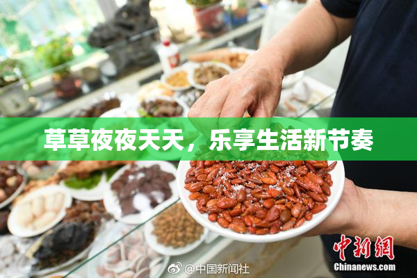 草草夜夜天天，乐享生活新节奏