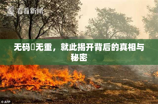无码囯无重，就此揭开背后的真相与秘密