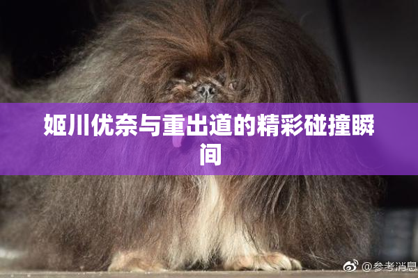 姬川优奈与重出道的精彩碰撞瞬间