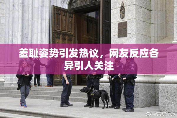 羞耻姿势引发热议，网友反应各异引人关注