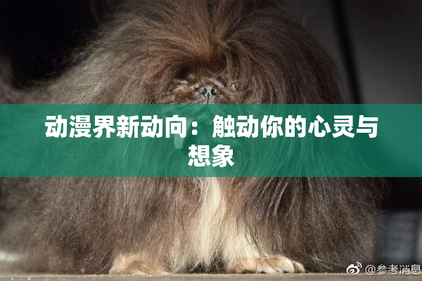 动漫界新动向：触动你的心灵与想象