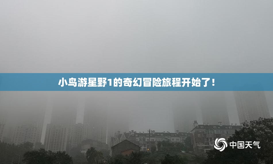 小鸟游星野1的奇幻冒险旅程开始了！