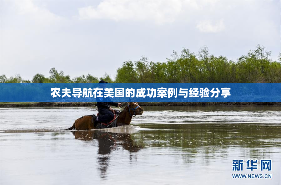 农夫导航在美国的成功案例与经验分享